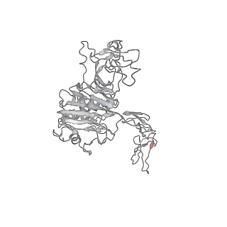 32690_7wps_N_v1-1
Cryo-EM structure of VWF D'D3 dimer complexed with D1D2 at 4.3 angstron resolution (7 units)