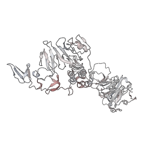 32690_7wps_O_v1-1
Cryo-EM structure of VWF D'D3 dimer complexed with D1D2 at 4.3 angstron resolution (7 units)