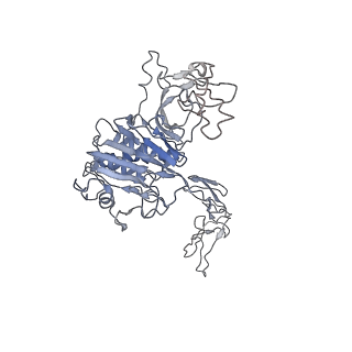 32690_7wps_R_v1-1
Cryo-EM structure of VWF D'D3 dimer complexed with D1D2 at 4.3 angstron resolution (7 units)