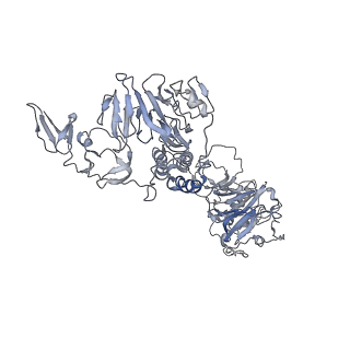 32690_7wps_S_v1-1
Cryo-EM structure of VWF D'D3 dimer complexed with D1D2 at 4.3 angstron resolution (7 units)