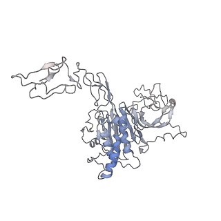 32690_7wps_T_v1-1
Cryo-EM structure of VWF D'D3 dimer complexed with D1D2 at 4.3 angstron resolution (7 units)