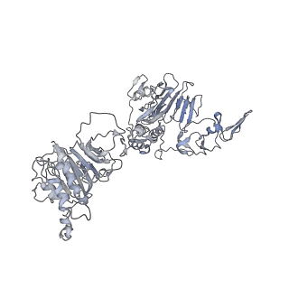 32690_7wps_U_v1-1
Cryo-EM structure of VWF D'D3 dimer complexed with D1D2 at 4.3 angstron resolution (7 units)