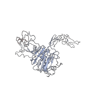 32690_7wps_V_v1-1
Cryo-EM structure of VWF D'D3 dimer complexed with D1D2 at 4.3 angstron resolution (7 units)