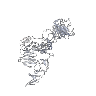32690_7wps_W_v1-1
Cryo-EM structure of VWF D'D3 dimer complexed with D1D2 at 4.3 angstron resolution (7 units)