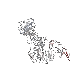 32690_7wps_a_v1-1
Cryo-EM structure of VWF D'D3 dimer complexed with D1D2 at 4.3 angstron resolution (7 units)