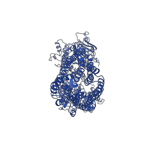 37705_8wp0_A_v1-0
Structure of the Arabidopsis E529Q/E1174Q ABCB19 in the ATP bound state