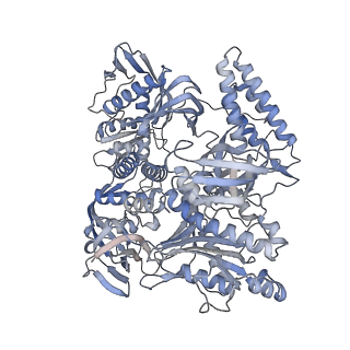 37714_8wpe_A_v1-2
Structure of monkeypox virus polymerase complex F8-A22-E4-H5 (tag-free A22) with exogenous DNA