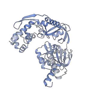 37714_8wpe_B_v1-2
Structure of monkeypox virus polymerase complex F8-A22-E4-H5 (tag-free A22) with exogenous DNA