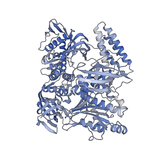 37715_8wpf_A_v1-2
Structure of monkeypox virus polymerase complex F8-A22-E4-H5 with exogenous DNA bearing one abasic site