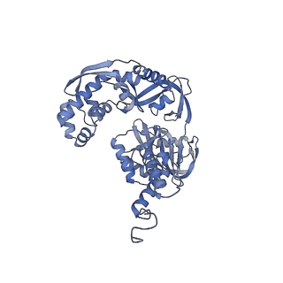 37715_8wpf_B_v1-2
Structure of monkeypox virus polymerase complex F8-A22-E4-H5 with exogenous DNA bearing one abasic site
