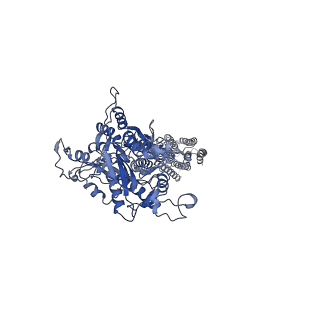 37716_8wpg_A_v1-0
Human calcium-sensing receptor bound with cinacalcet in detergent