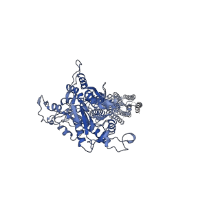 37716_8wpg_A_v1-1
Human calcium-sensing receptor bound with cinacalcet in detergent