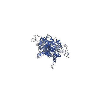 37716_8wpg_B_v1-1
Human calcium-sensing receptor bound with cinacalcet in detergent