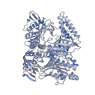 37717_8wpk_A_v1-2
Structure of monkeypox virus polymerase complex F8-A22-E4-H5 with exgenous DNA