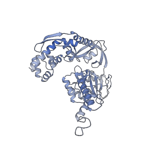 37717_8wpk_B_v1-2
Structure of monkeypox virus polymerase complex F8-A22-E4-H5 with exgenous DNA