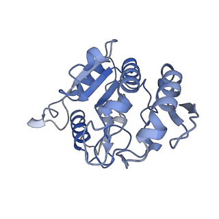 37717_8wpk_C_v1-2
Structure of monkeypox virus polymerase complex F8-A22-E4-H5 with exgenous DNA
