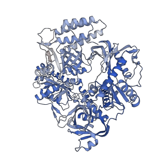 37722_8wpp_A_v1-2
Structure of monkeypox virus polymerase complex F8-A22-E4-H5 with endogenous DNA