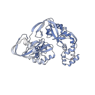 37722_8wpp_B_v1-2
Structure of monkeypox virus polymerase complex F8-A22-E4-H5 with endogenous DNA