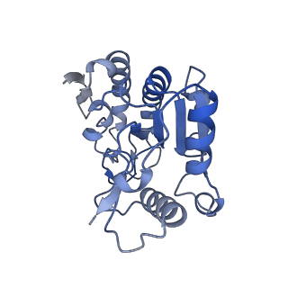 37722_8wpp_C_v1-2
Structure of monkeypox virus polymerase complex F8-A22-E4-H5 with endogenous DNA