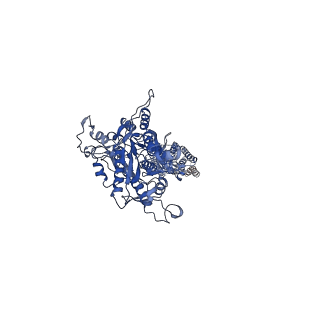 37724_8wpu_A_v1-0
Human calcium-sensing receptor(CaSR) bound to cinacalcet in complex with Gq protein