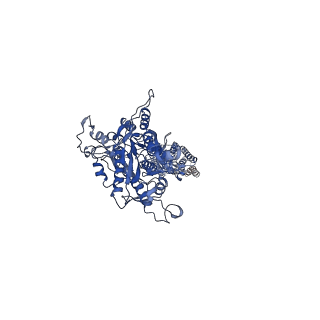 37724_8wpu_A_v1-1
Human calcium-sensing receptor(CaSR) bound to cinacalcet in complex with Gq protein