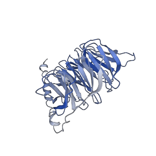 37724_8wpu_C_v1-1
Human calcium-sensing receptor(CaSR) bound to cinacalcet in complex with Gq protein