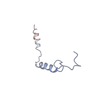 37724_8wpu_D_v1-0
Human calcium-sensing receptor(CaSR) bound to cinacalcet in complex with Gq protein