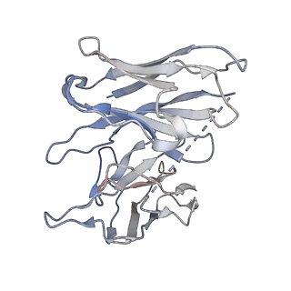 37724_8wpu_E_v1-1
Human calcium-sensing receptor(CaSR) bound to cinacalcet in complex with Gq protein