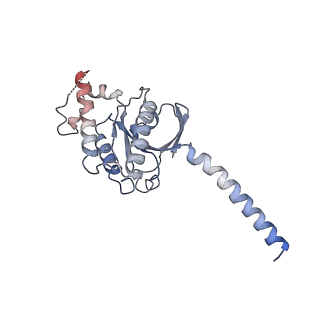 37724_8wpu_G_v1-0
Human calcium-sensing receptor(CaSR) bound to cinacalcet in complex with Gq protein