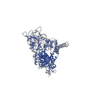 8871_5wp6_A_v1-3
Cryo-EM structure of a human TRPM4 channel in complex with calcium and decavanadate