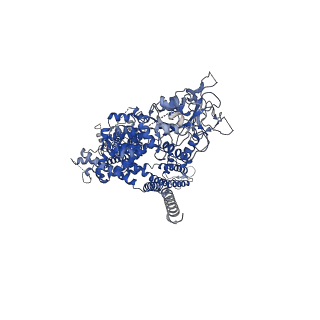 8871_5wp6_B_v1-3
Cryo-EM structure of a human TRPM4 channel in complex with calcium and decavanadate