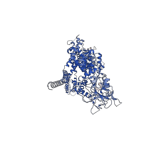 8871_5wp6_C_v1-3
Cryo-EM structure of a human TRPM4 channel in complex with calcium and decavanadate