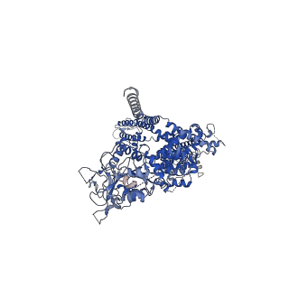 8871_5wp6_D_v1-3
Cryo-EM structure of a human TRPM4 channel in complex with calcium and decavanadate