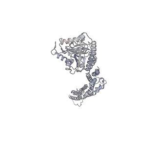 8874_5wp9_A_v1-2
Structural Basis of Mitochondrial Receptor Binding and Constriction by Dynamin-Related Protein 1