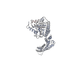 8874_5wp9_A_v1-3
Structural Basis of Mitochondrial Receptor Binding and Constriction by Dynamin-Related Protein 1