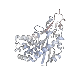 8874_5wp9_B_v1-3
Structural Basis of Mitochondrial Receptor Binding and Constriction by Dynamin-Related Protein 1