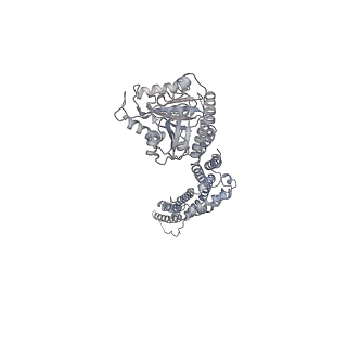 8874_5wp9_C_v1-2
Structural Basis of Mitochondrial Receptor Binding and Constriction by Dynamin-Related Protein 1