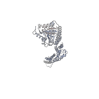 8874_5wp9_C_v1-3
Structural Basis of Mitochondrial Receptor Binding and Constriction by Dynamin-Related Protein 1