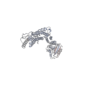 8874_5wp9_E_v1-2
Structural Basis of Mitochondrial Receptor Binding and Constriction by Dynamin-Related Protein 1