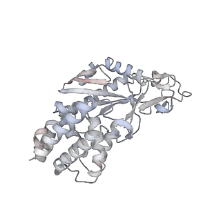 8874_5wp9_F_v1-2
Structural Basis of Mitochondrial Receptor Binding and Constriction by Dynamin-Related Protein 1