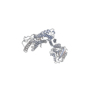 8874_5wp9_G_v1-2
Structural Basis of Mitochondrial Receptor Binding and Constriction by Dynamin-Related Protein 1