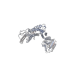 8874_5wp9_G_v1-3
Structural Basis of Mitochondrial Receptor Binding and Constriction by Dynamin-Related Protein 1