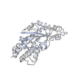 8874_5wp9_H_v1-3
Structural Basis of Mitochondrial Receptor Binding and Constriction by Dynamin-Related Protein 1