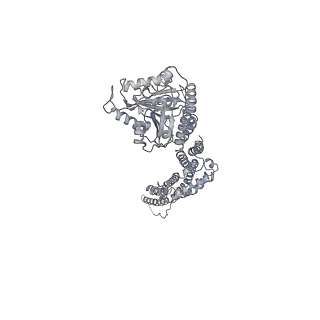 8874_5wp9_I_v1-2
Structural Basis of Mitochondrial Receptor Binding and Constriction by Dynamin-Related Protein 1