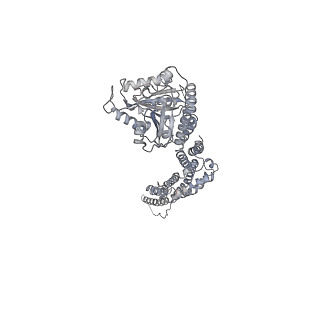 8874_5wp9_I_v1-3
Structural Basis of Mitochondrial Receptor Binding and Constriction by Dynamin-Related Protein 1