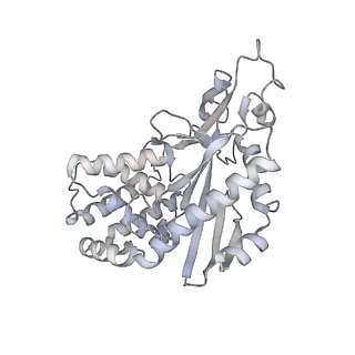 8874_5wp9_J_v1-3
Structural Basis of Mitochondrial Receptor Binding and Constriction by Dynamin-Related Protein 1