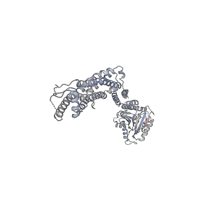 8874_5wp9_K_v1-2
Structural Basis of Mitochondrial Receptor Binding and Constriction by Dynamin-Related Protein 1