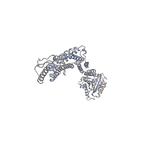 8874_5wp9_K_v1-3
Structural Basis of Mitochondrial Receptor Binding and Constriction by Dynamin-Related Protein 1