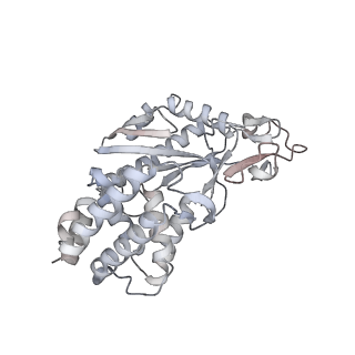 8874_5wp9_L_v1-2
Structural Basis of Mitochondrial Receptor Binding and Constriction by Dynamin-Related Protein 1