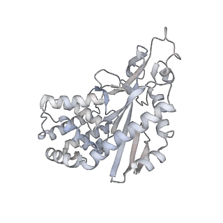 8874_5wp9_N_v1-3
Structural Basis of Mitochondrial Receptor Binding and Constriction by Dynamin-Related Protein 1